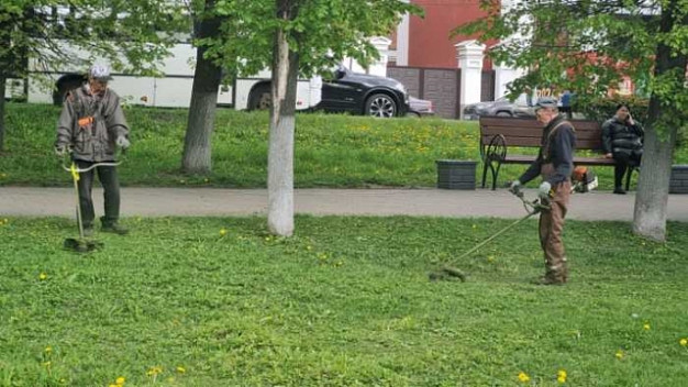 В Иванове начали косить траву